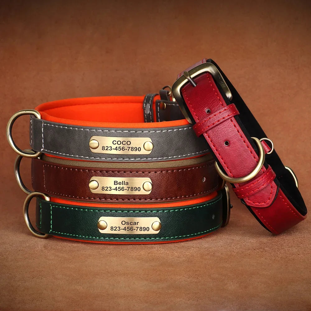 🐾 Forever Home Personalized Collar