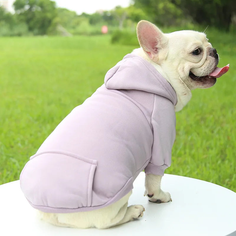 Cozy Companion Hoodie