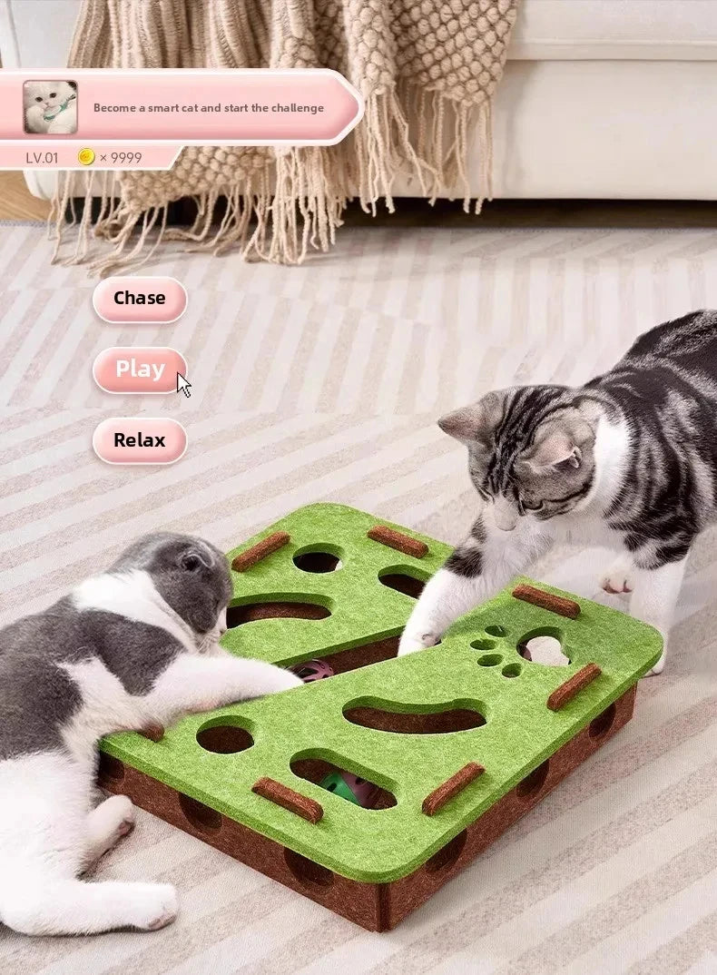 Purrsuit Puzzle Box