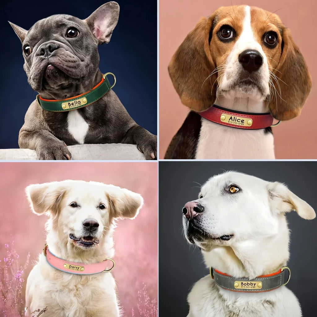 🐾 Forever Home Personalized Collar