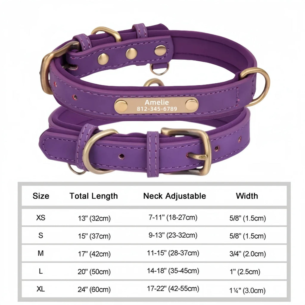 🐾 Forever Home Personalized Collar