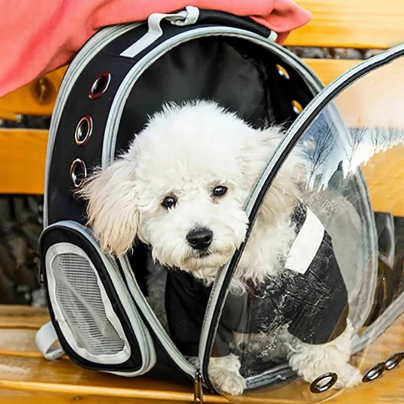 PurrView Adventure Backpack