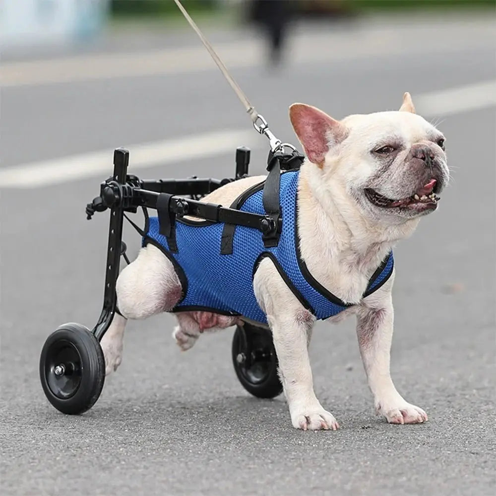 PawStride Recovery Wheels