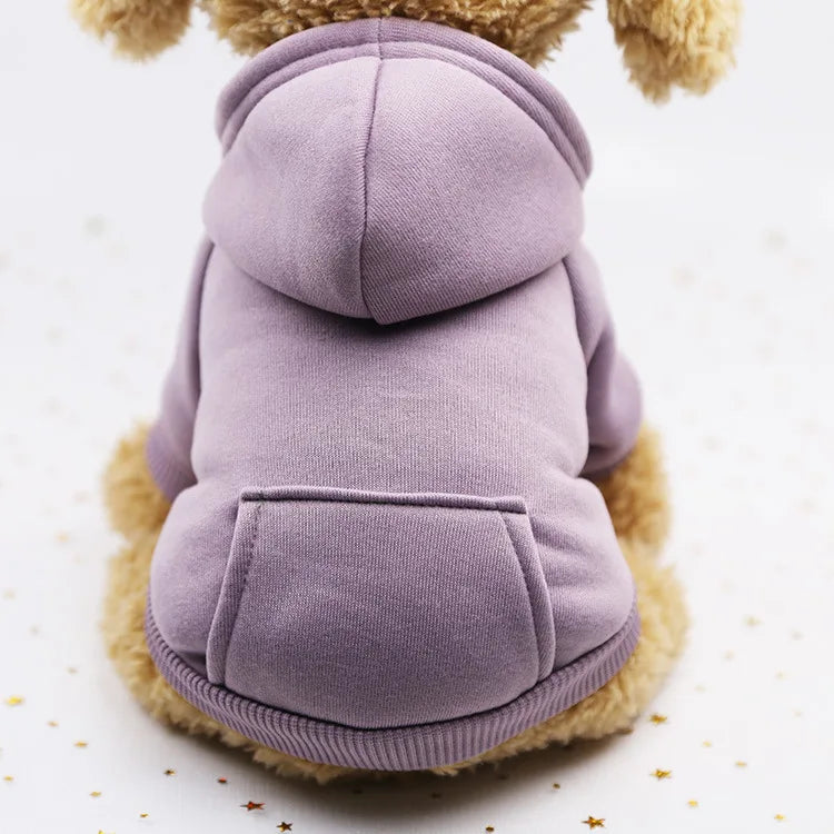 Cozy Companion Hoodie