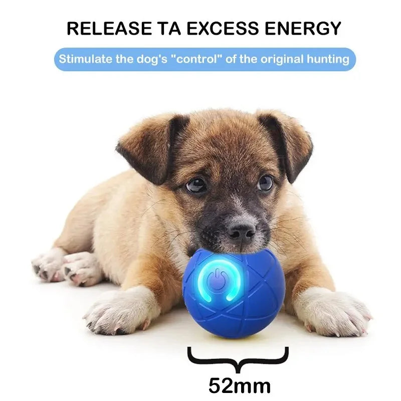 Paws in Motion Toy