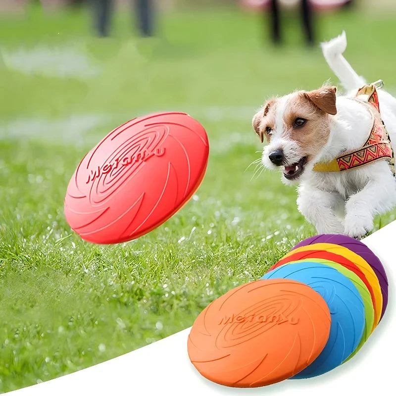 Sky Chase Flying Disc