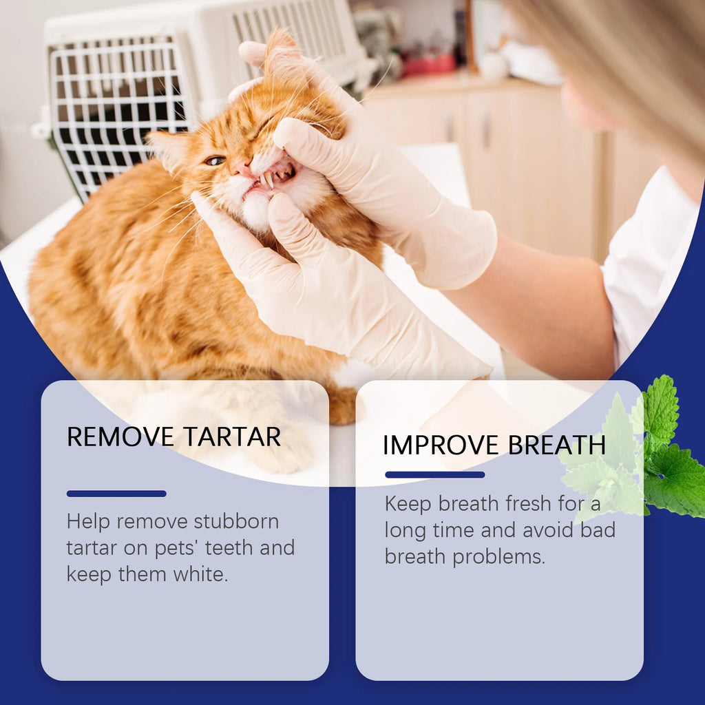 Fresh Breath Dental Powder