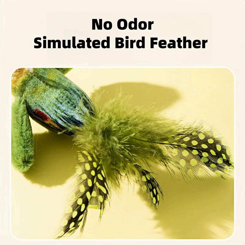 Songbird Chase Toy