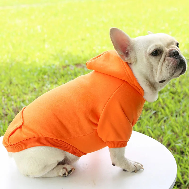 Cozy Companion Hoodie