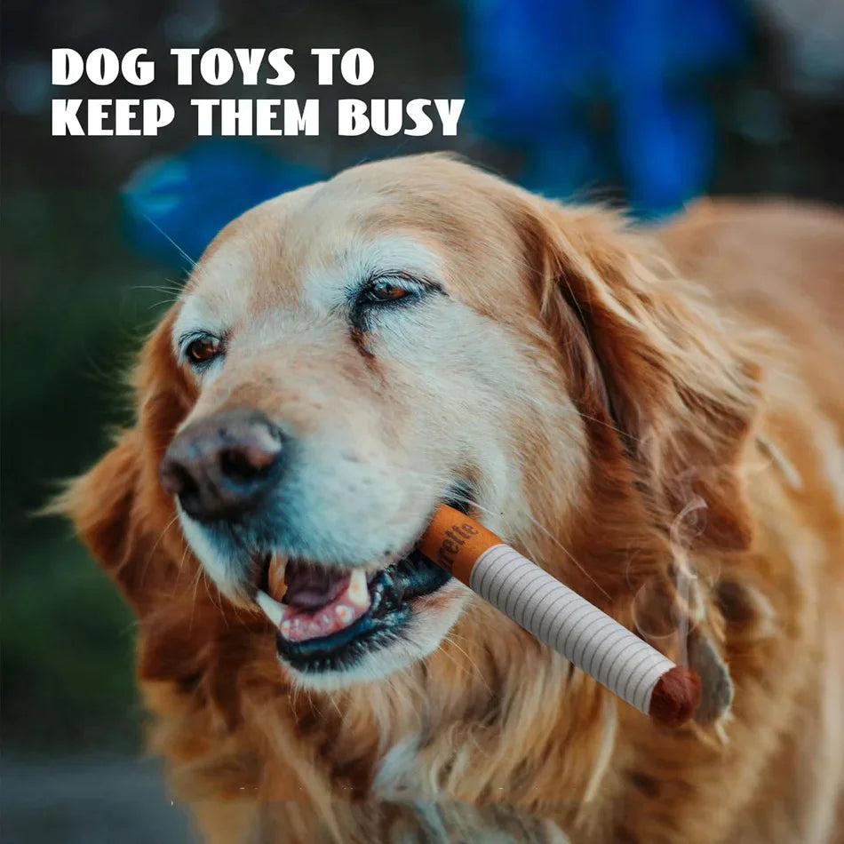 Puff-Free Fun Chew Toy