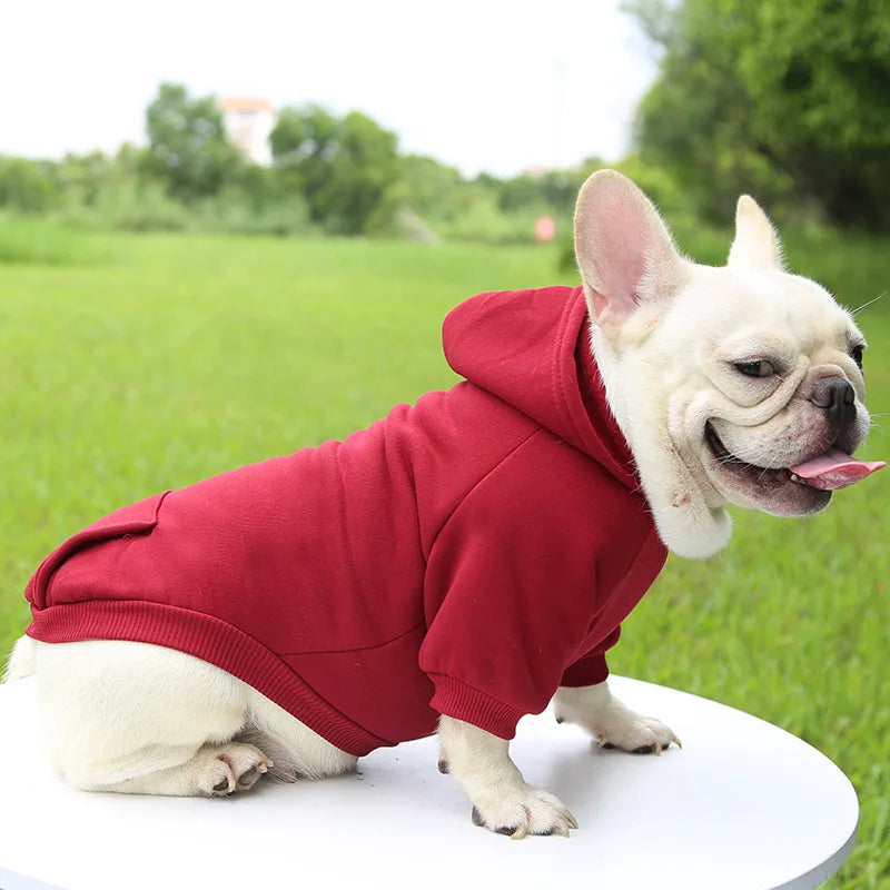 Cozy Companion Hoodie