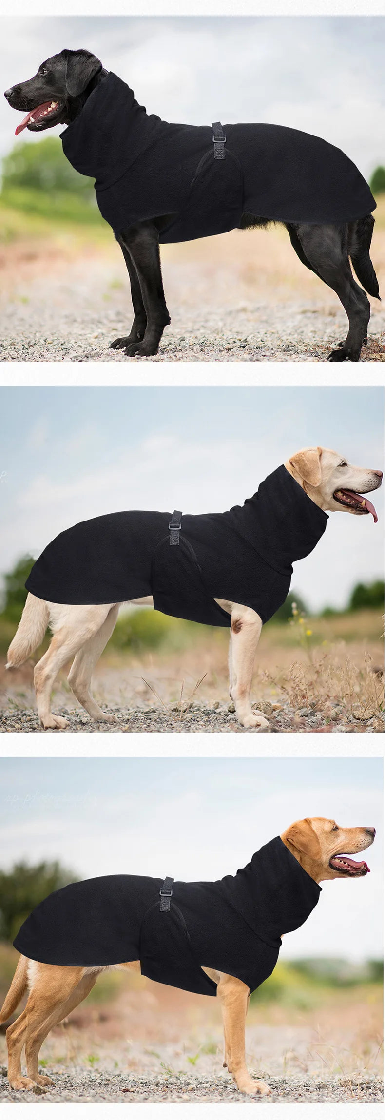 All-Season Adventure Vest