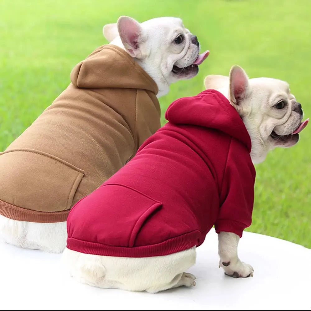 Cozy Companion Hoodie