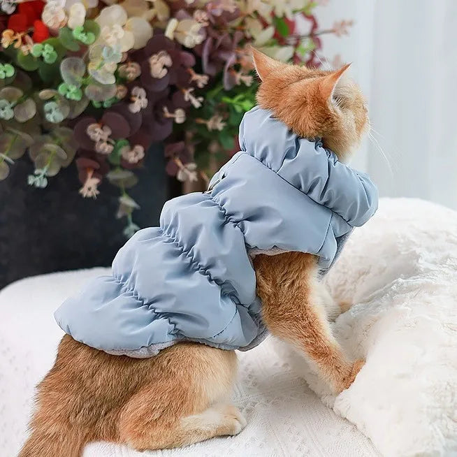 Pawfect Weather Coat