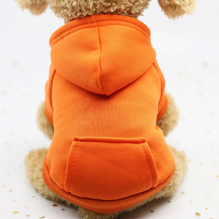 Cozy Companion Hoodie
