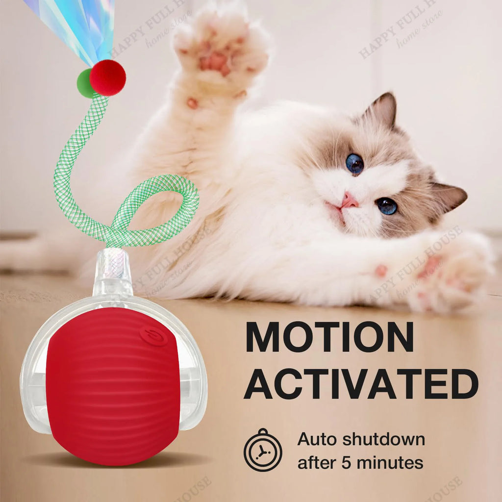 Zoomie Ball Interactive Toy