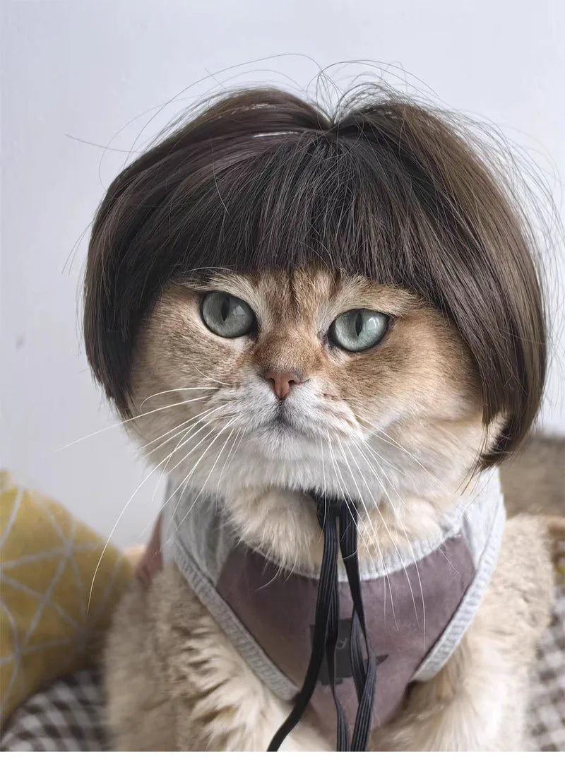 Paws & Giggles Wig Set