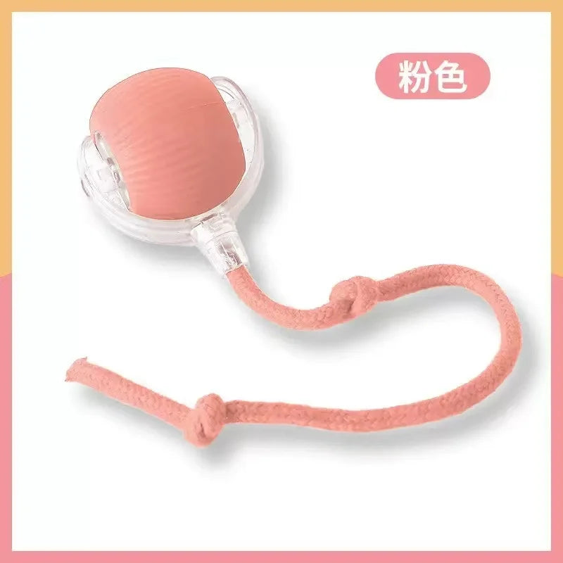 Zoomie Ball Interactive Toy