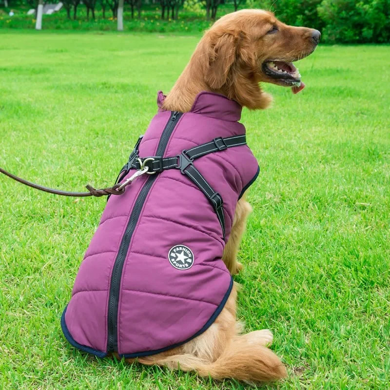 Adventure Armor Harness Coat