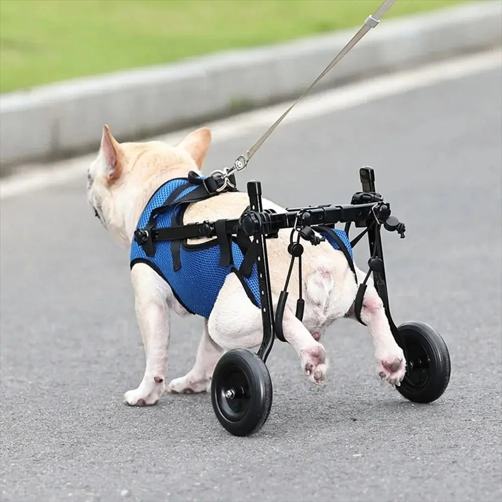 PawStride Recovery Wheels