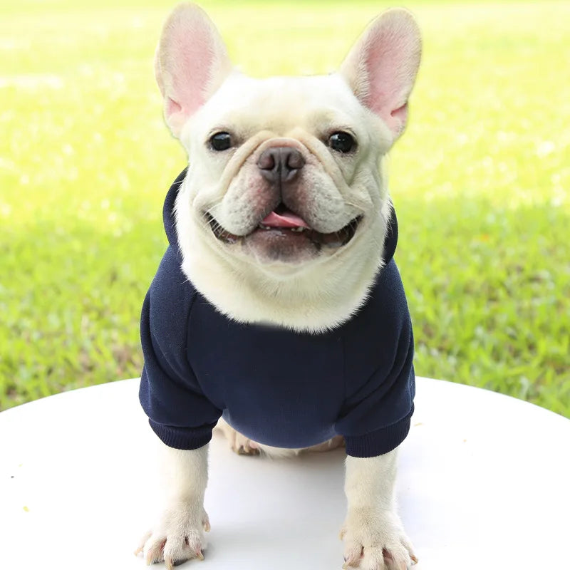 Cozy Companion Hoodie