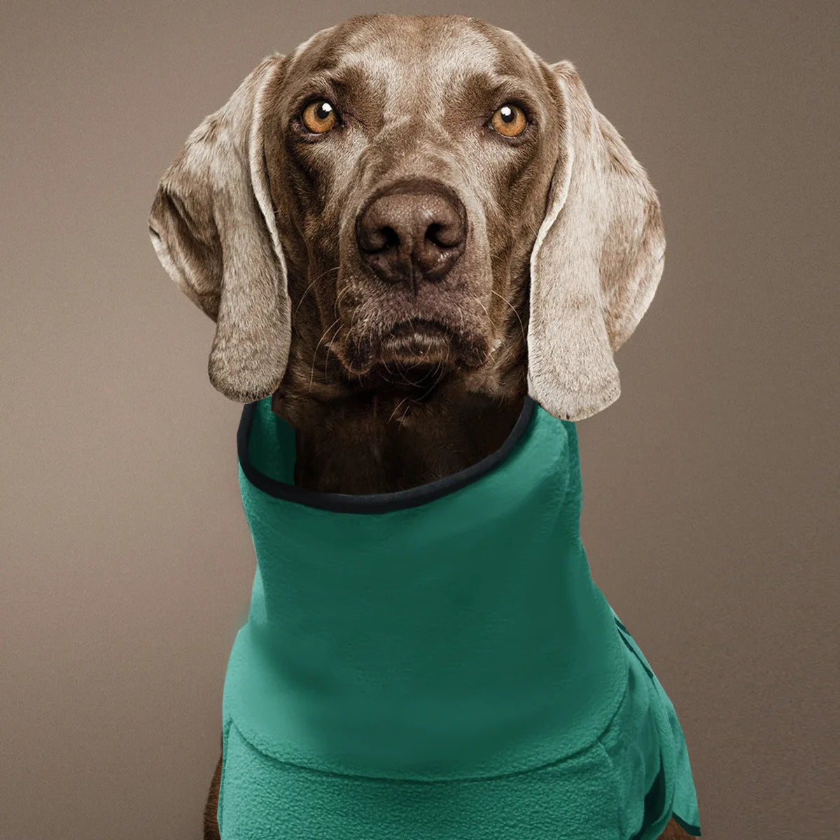All-Season Adventure Vest