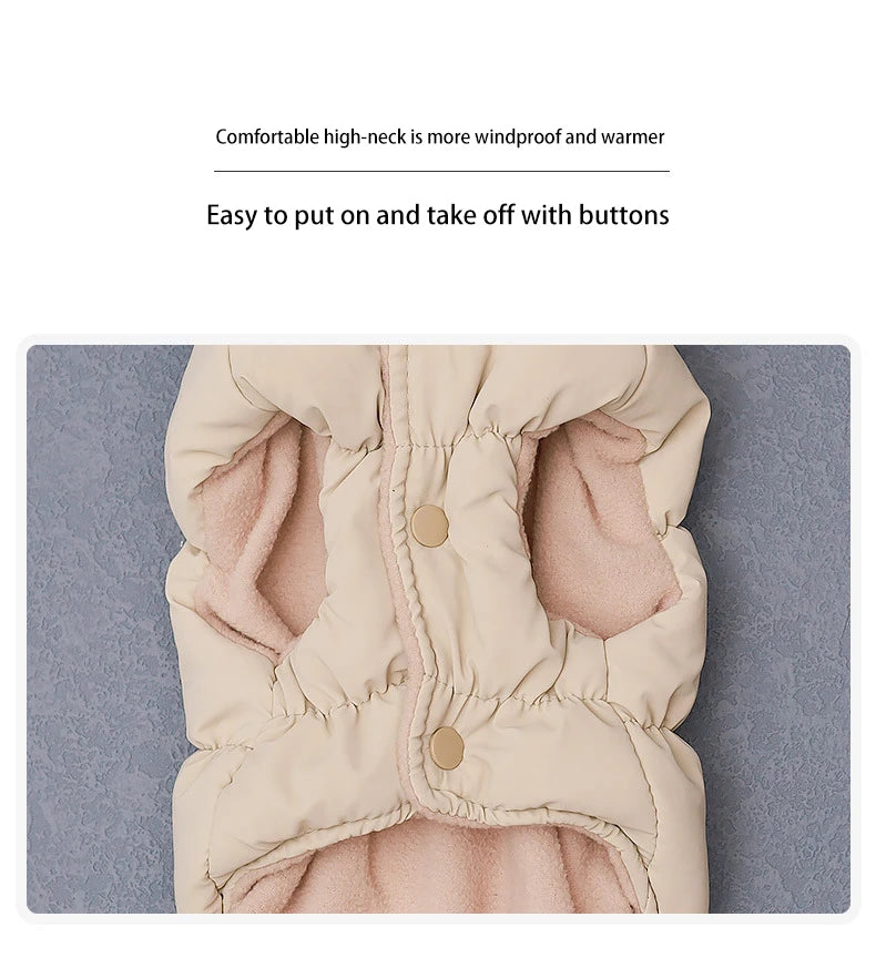 Pawfect Weather Coat