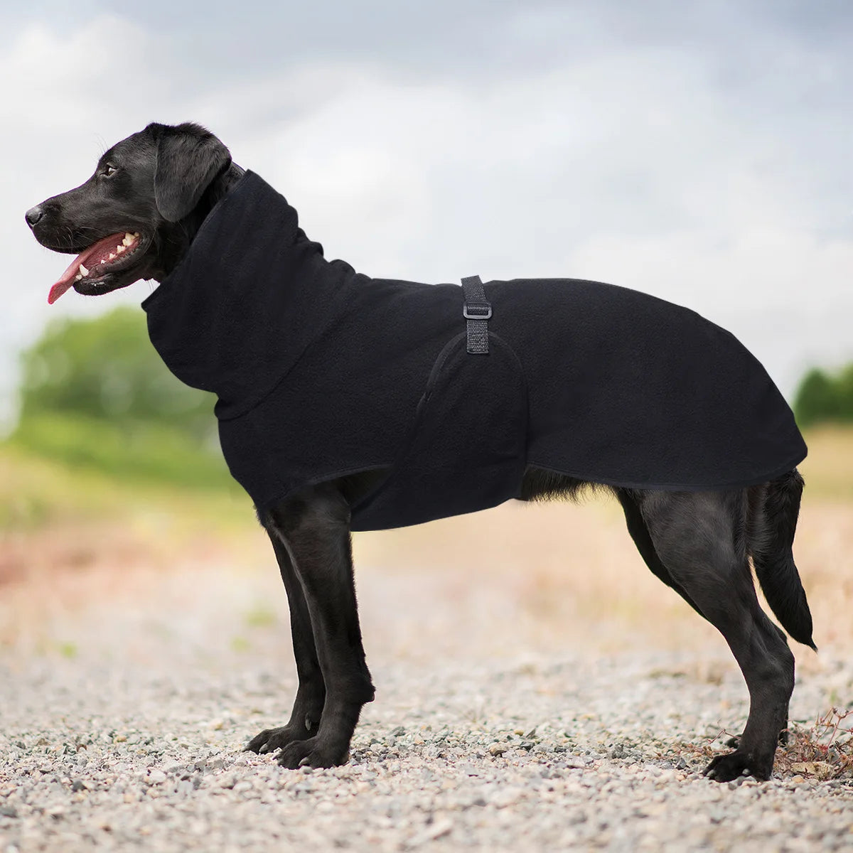 All-Season Adventure Vest