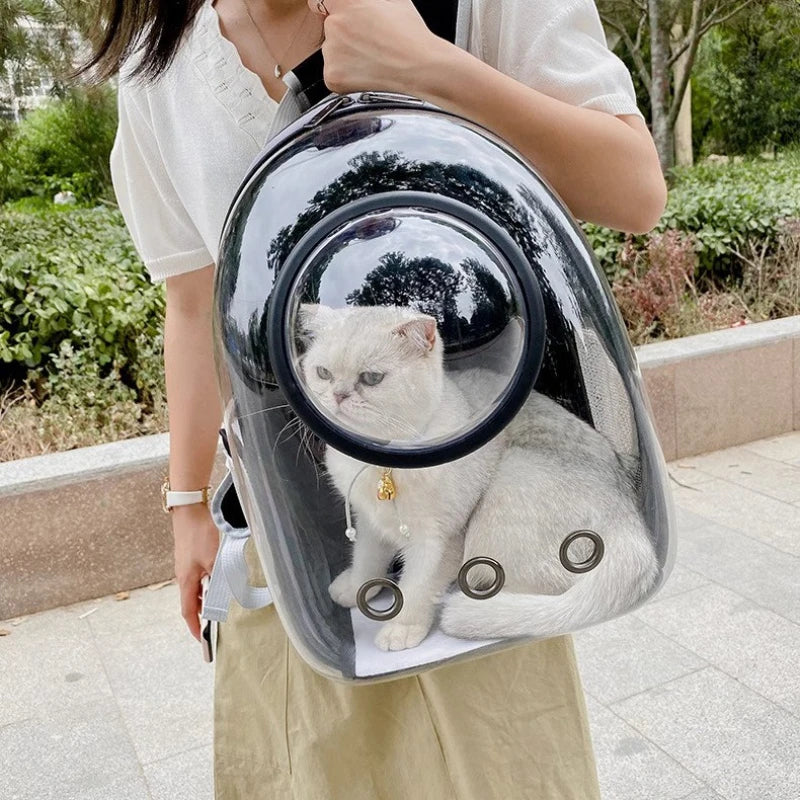 PurrView Adventure Backpack