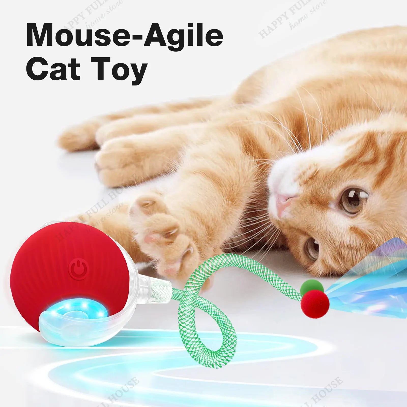 Zoomie Ball Interactive Toy