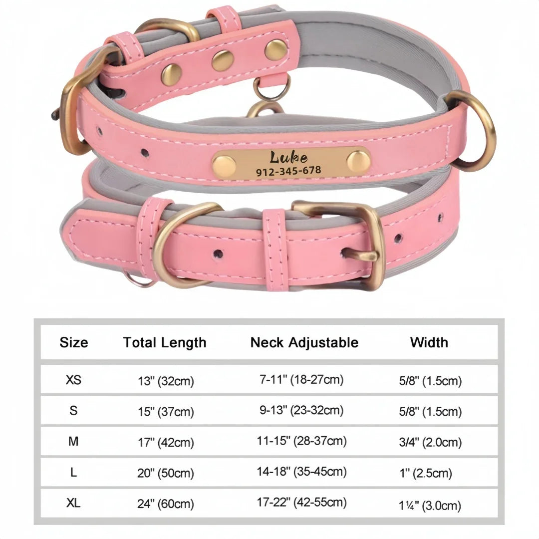 🐾 Forever Home Personalized Collar