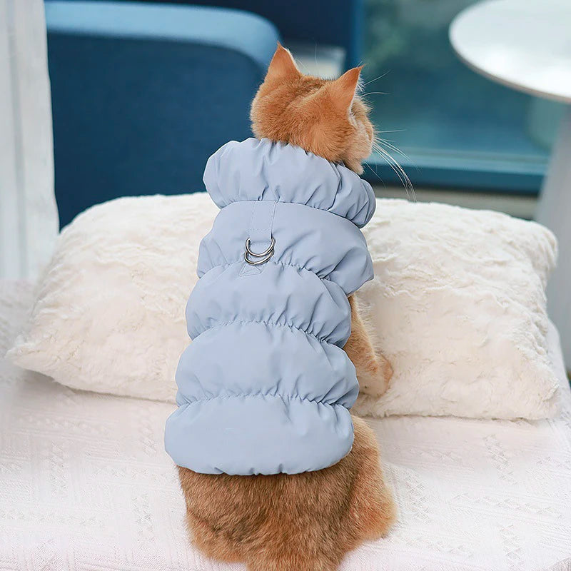 Pawfect Weather Coat