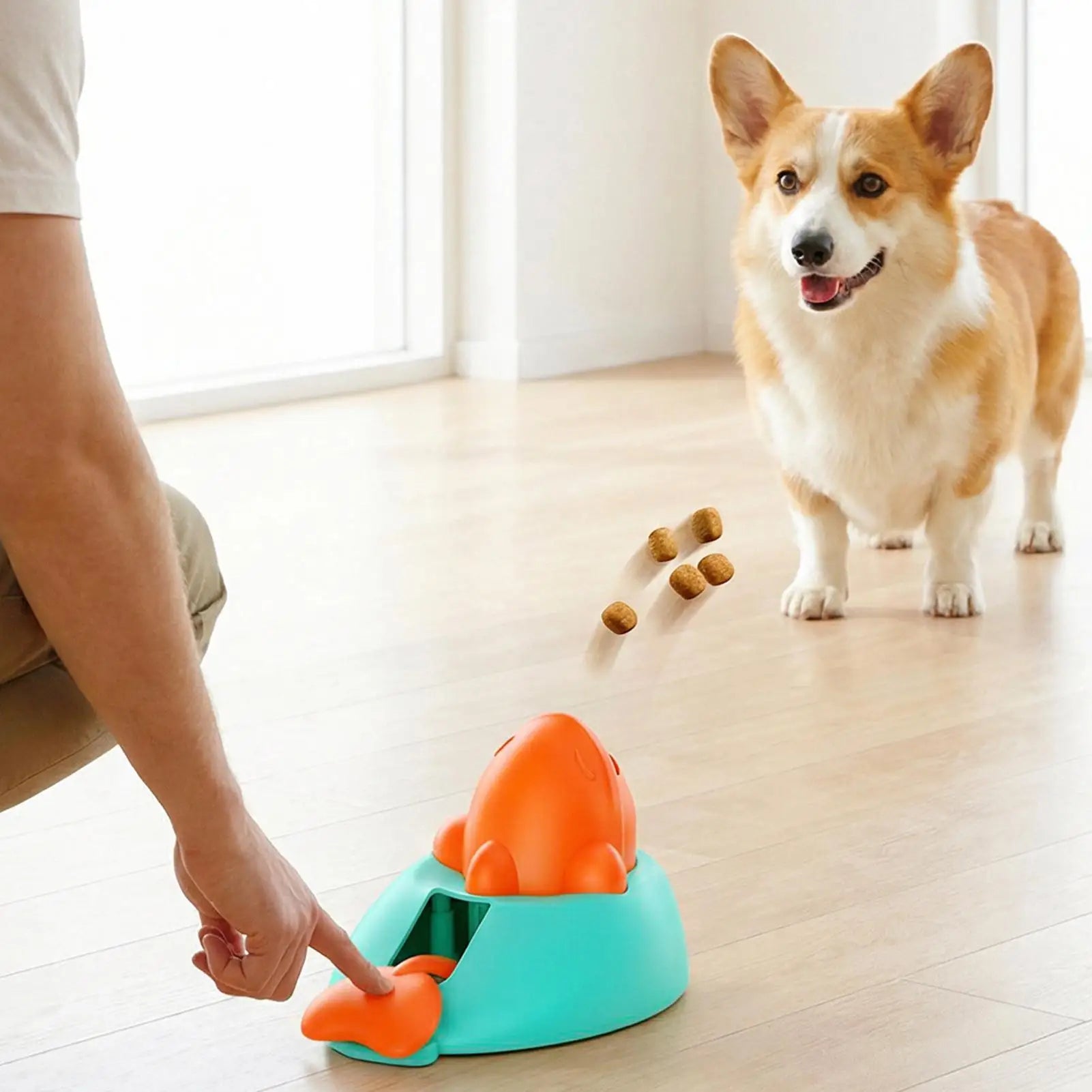 Treasure Hunt Treat Toy