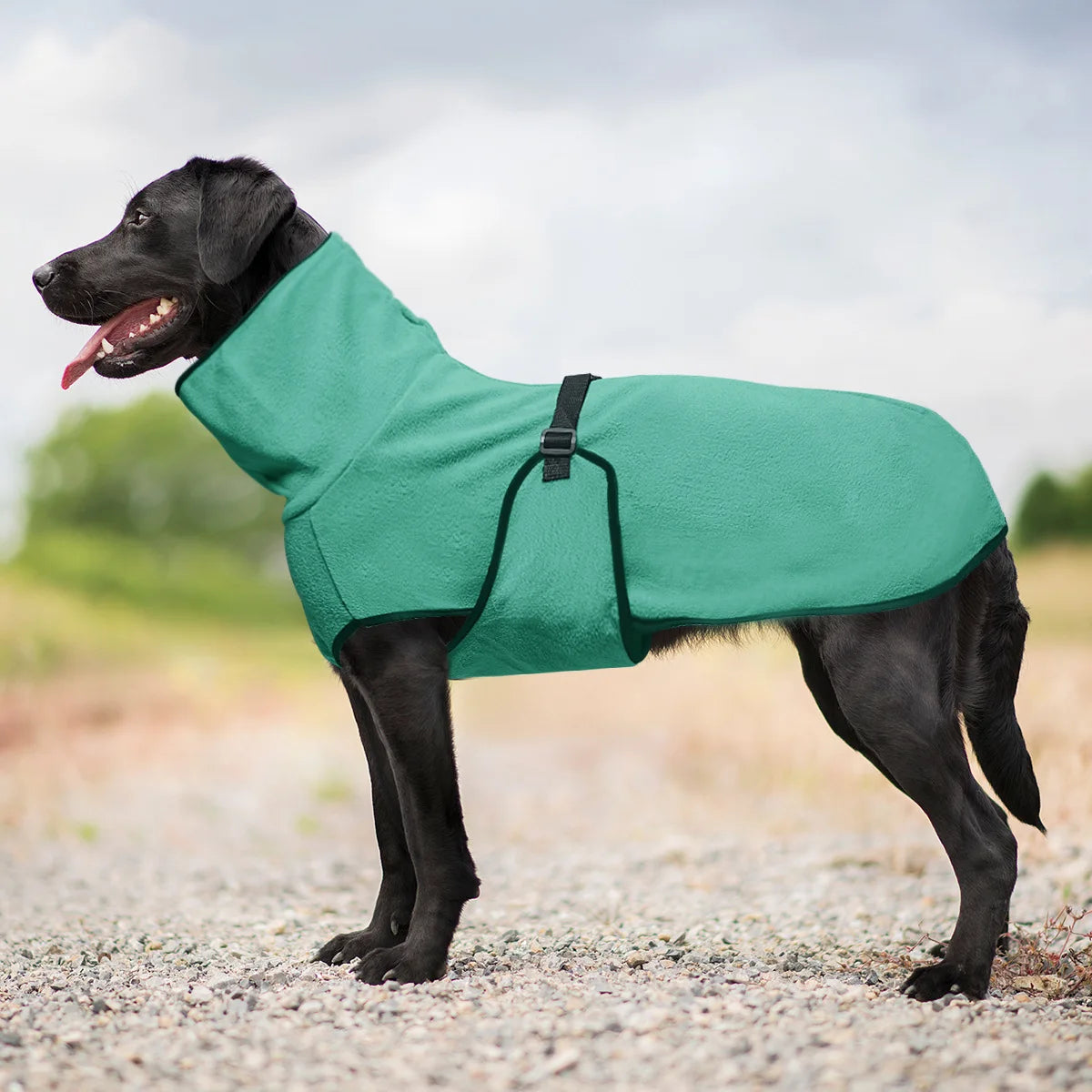 All-Season Adventure Vest