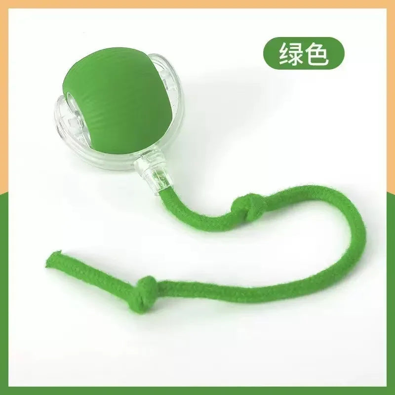 Zoomie Ball Interactive Toy