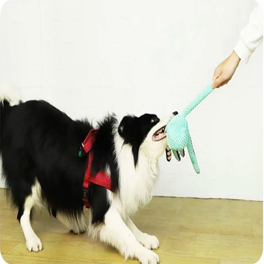 OctoPaws Playmate