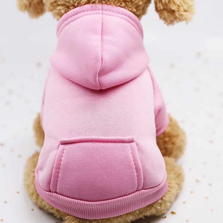 Cozy Companion Hoodie