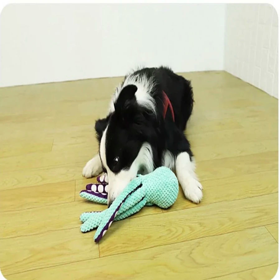 OctoPaws Playmate