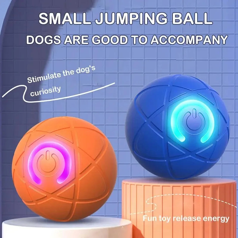 Paws in Motion Toy