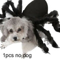 Creepy Crawler Pet Costume