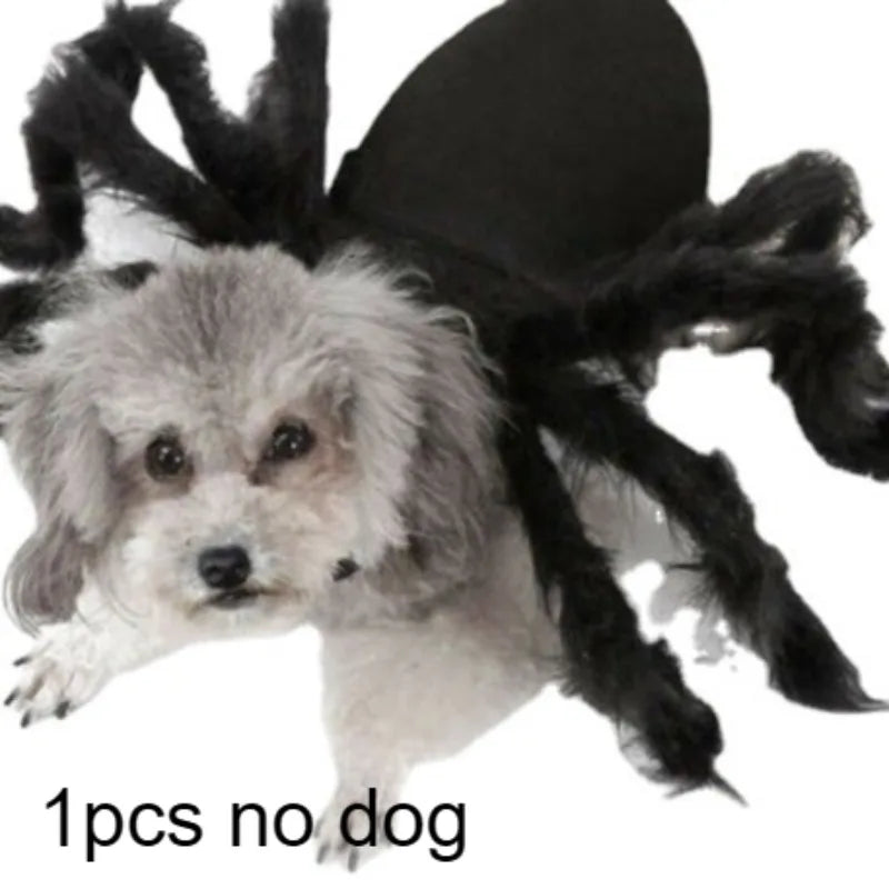 Creepy Crawler Pet Costume