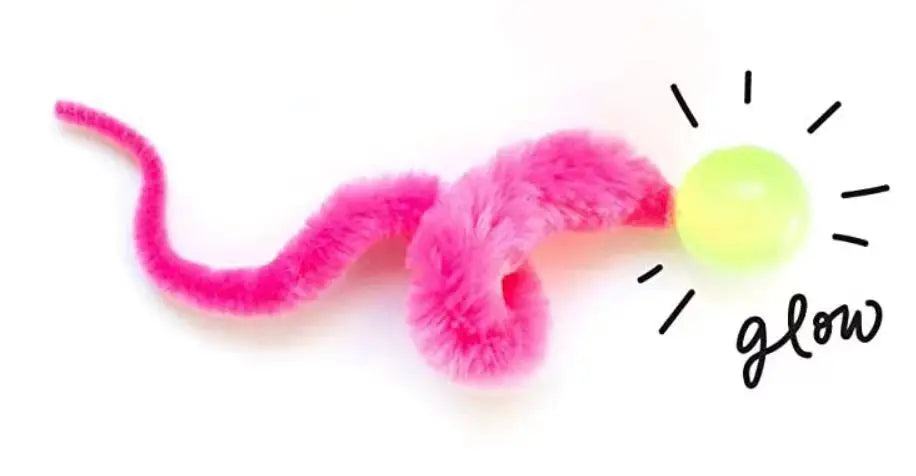 The Zoomie Worm