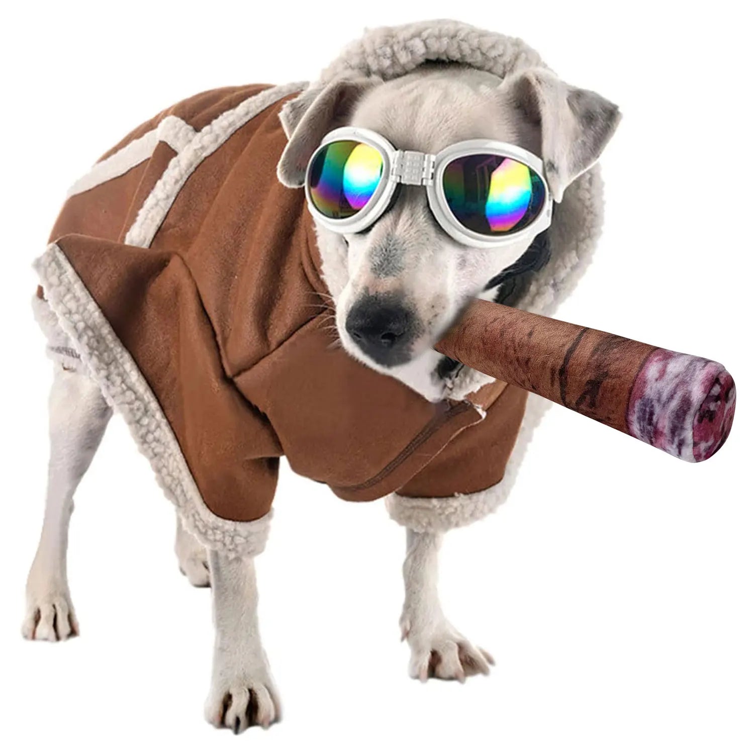 Pup's Cigar Buddy