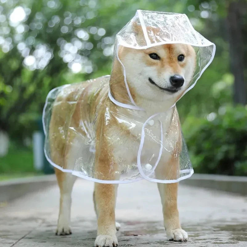 Rainy Day Pup Poncho