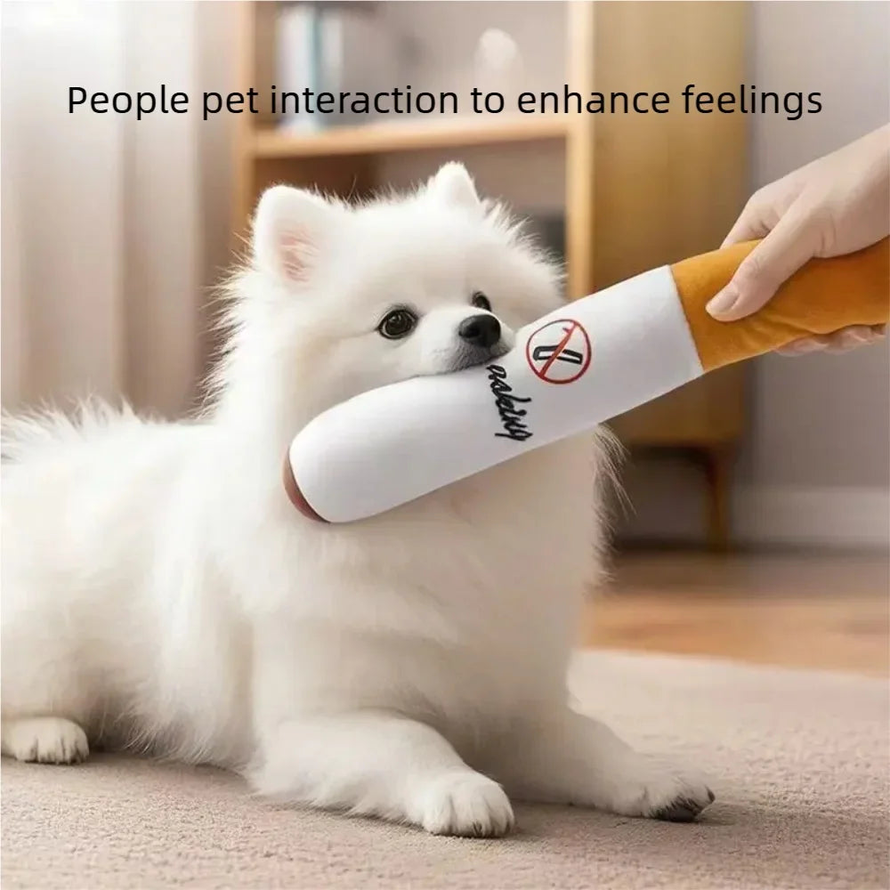 Novelty Squeaky Plush Dog Toy for Chewing & Interactive Play