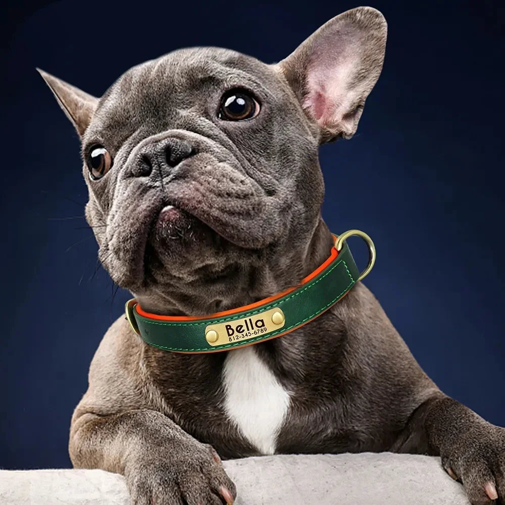 🐾 Forever Home Personalized Collar