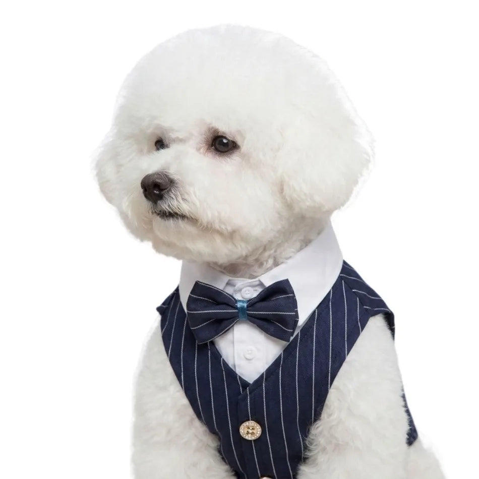 Dapper Paws Dress Shirt & Vest