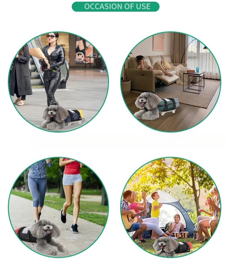 PawRoll Mobility Cart