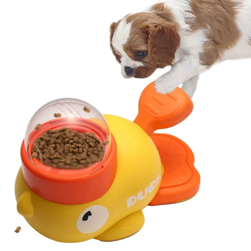 Paw-Powered Playtime