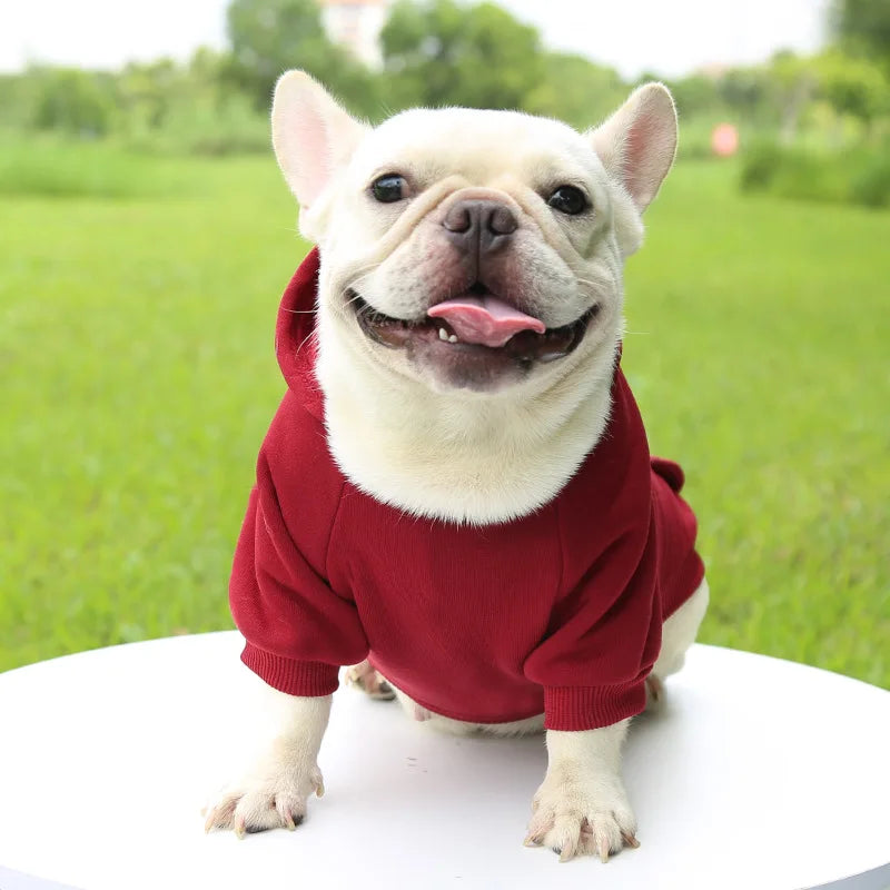 Cozy Companion Hoodie